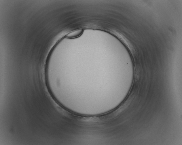 X0000116461434200912291958