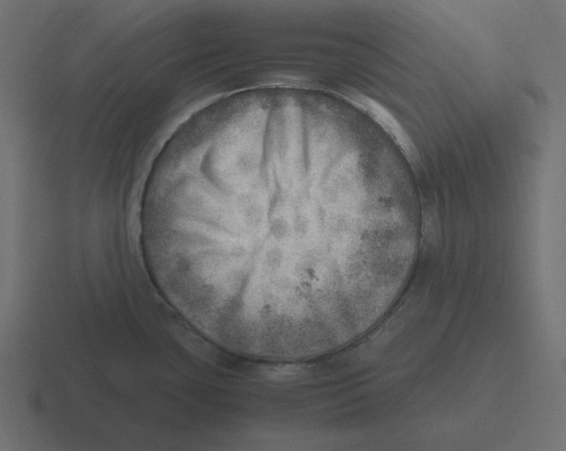 X0000116461435200912291958