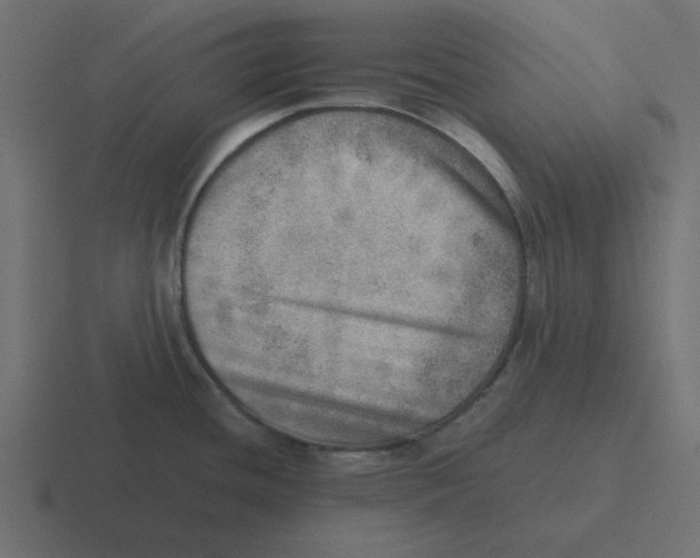 X0000116461436200912291958