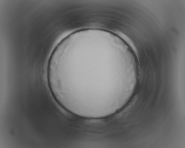 X0000116461437200912291958