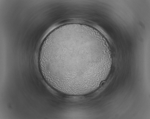 X0000116461438200912291958