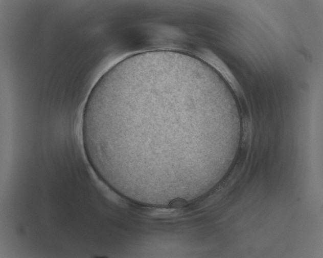 X0000116461439200912291958