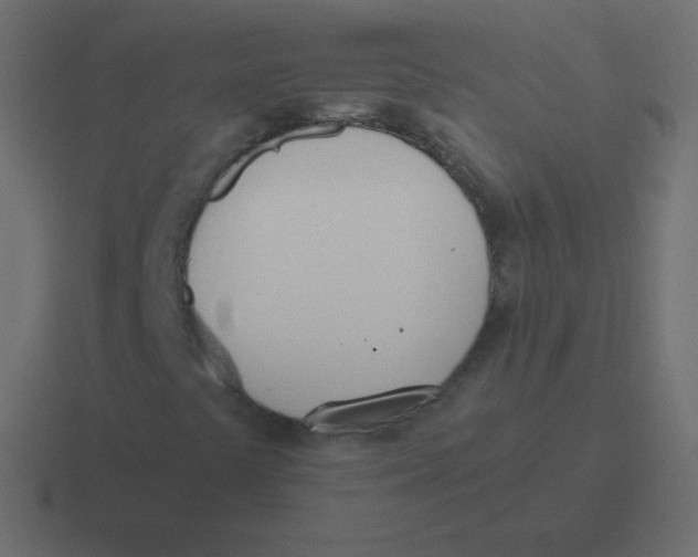 X0000116461441200912291958