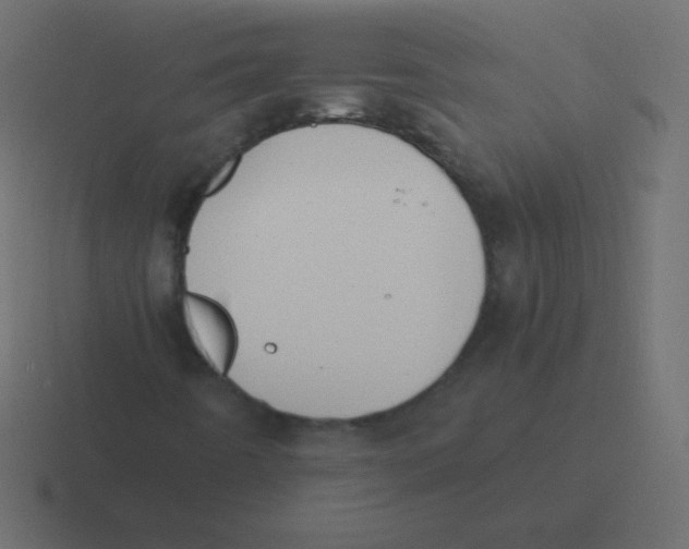 X0000116461442200912291958