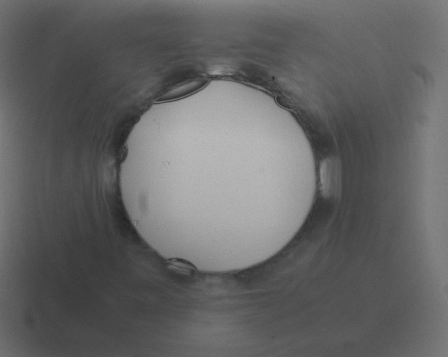 X0000116461443200912291958