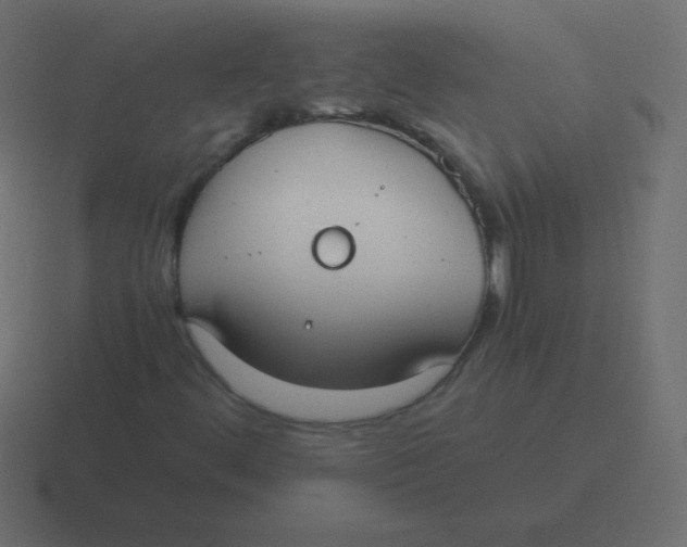 X0000116461444200912291958