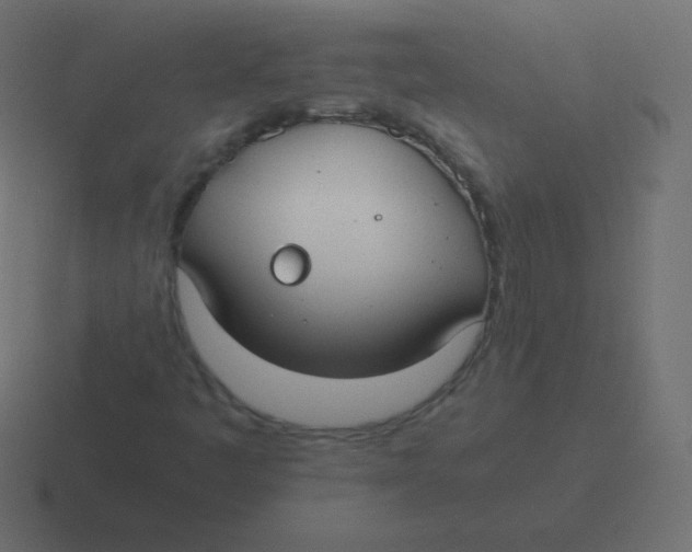 X0000116461445200912291958