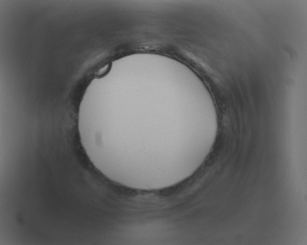 X0000116461447200912291958