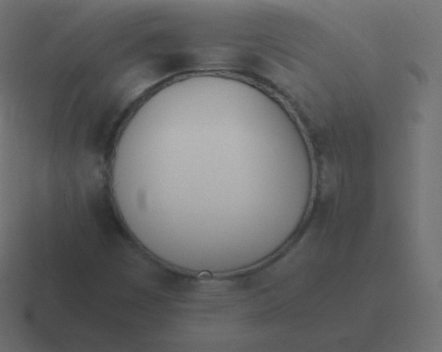 X0000116461449200912291958