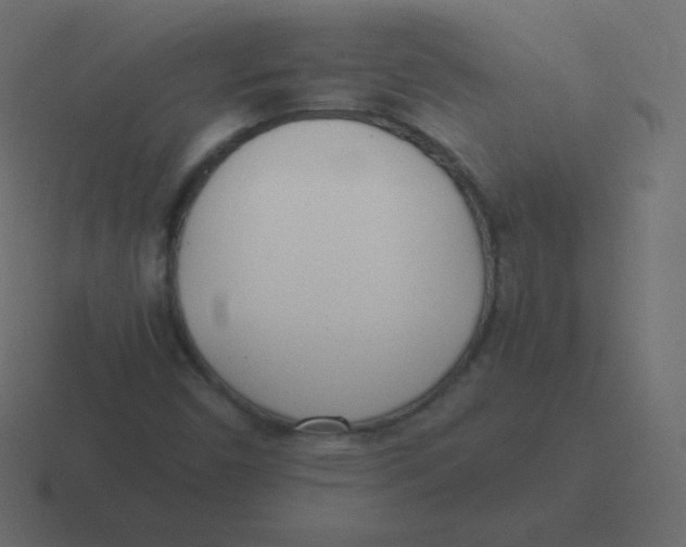 X0000116461450200912291958