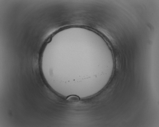 X0000116461452200912291958