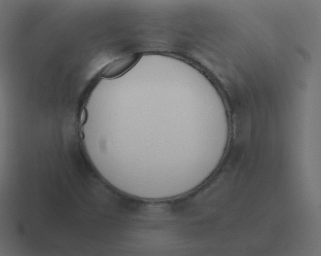 X0000116461453200912291958