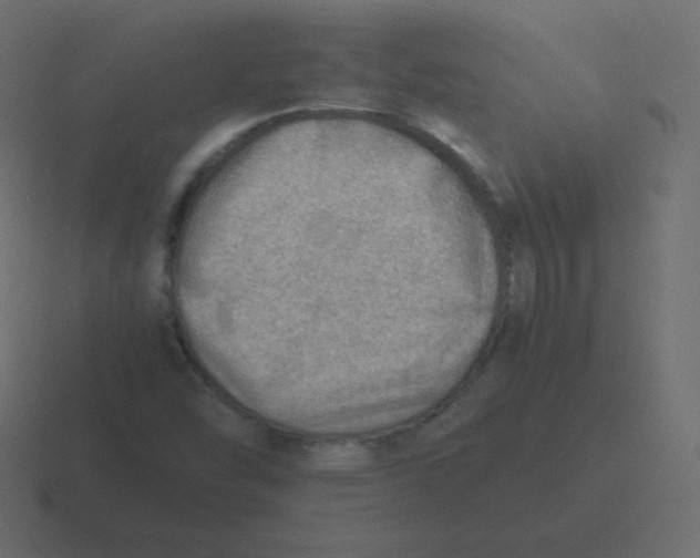 X0000116461454200912291958