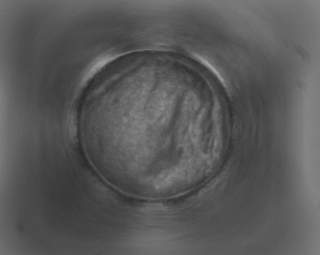 X0000116461455200912291958