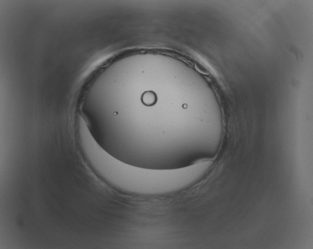 X0000116461456200912291958