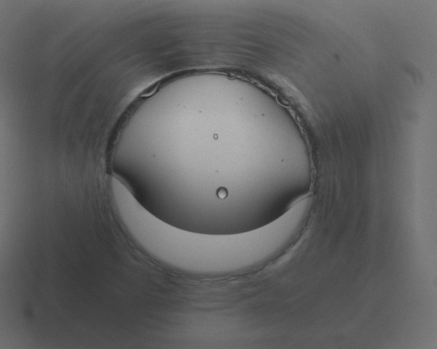 X0000116461457200912291958