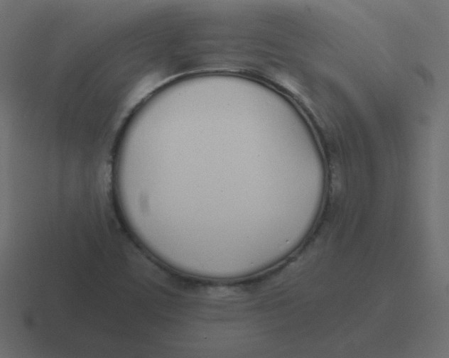 X0000116461459200912291958