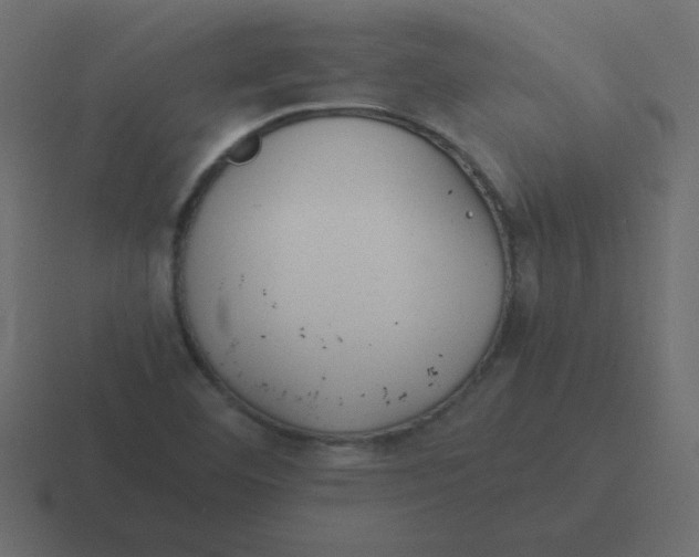 X0000116461460200912291958