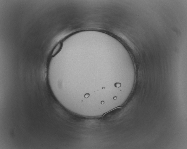 X0000116461461200912291958