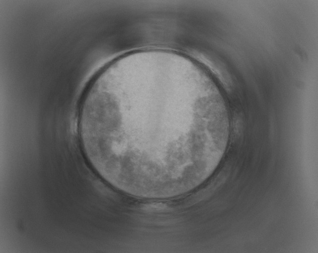 X0000116461462200912291958