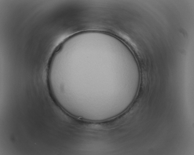 X0000116461463200912291958