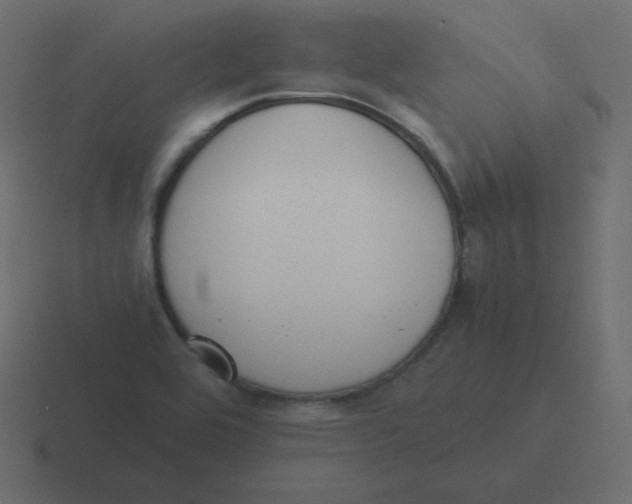 X0000116461464200912291958