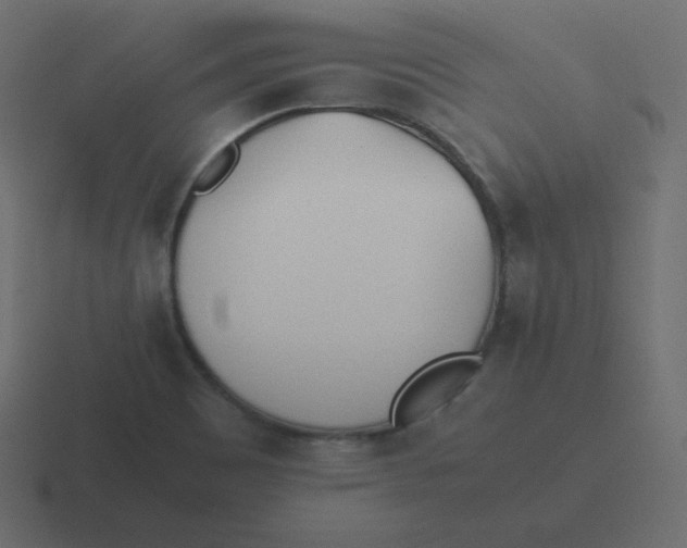 X0000116461465200912291958