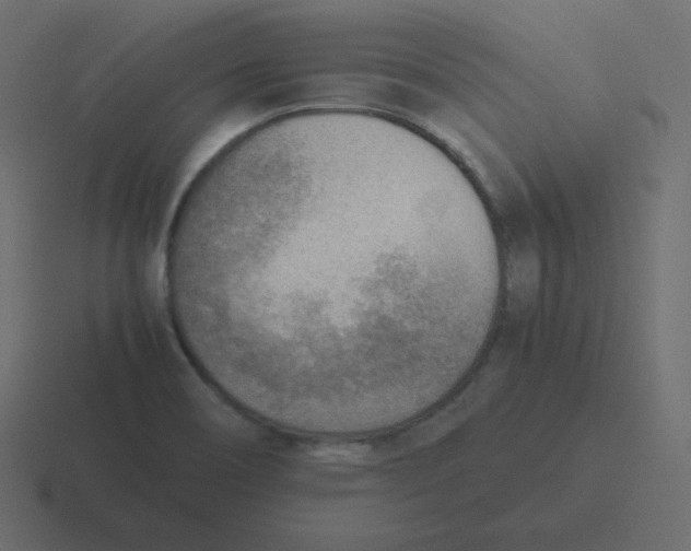 X0000116461466200912291958