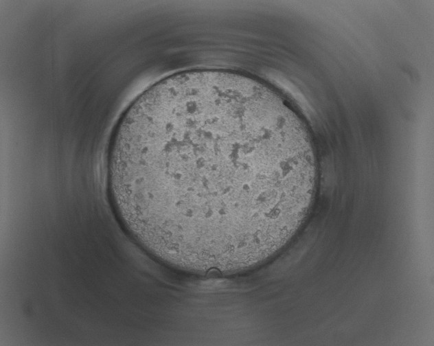 X0000116461467200912291958