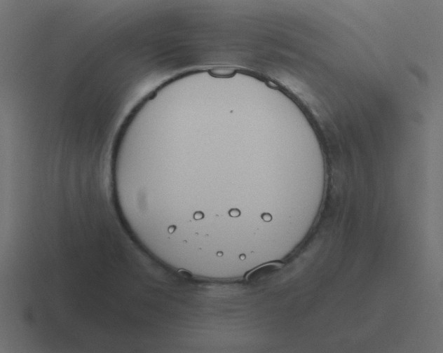 X0000116461469200912291958