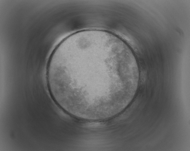 X0000116461470200912291958