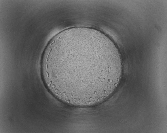 X0000116461471200912291958