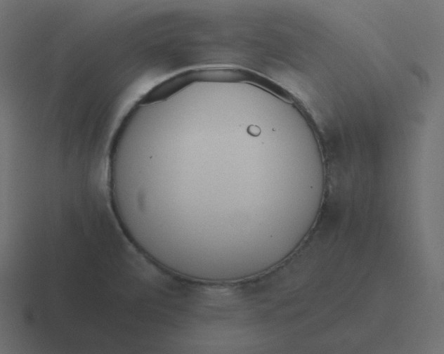 X0000116461472200912291958