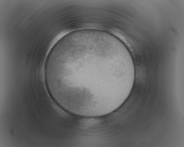 X0000116461474200912291957