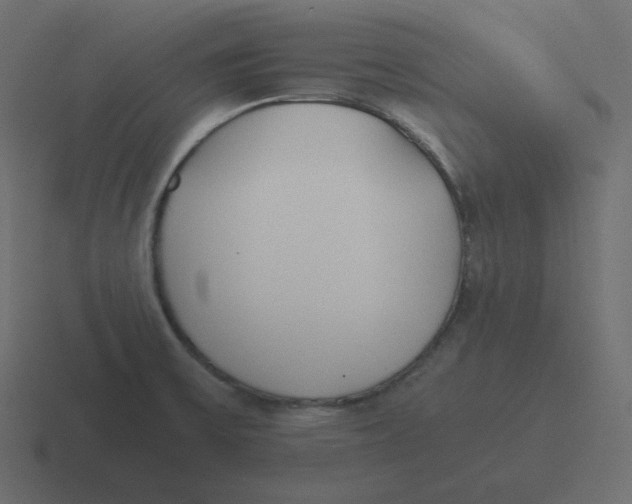 X0000116461475200912291957