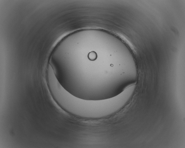 X0000116461476200912291957