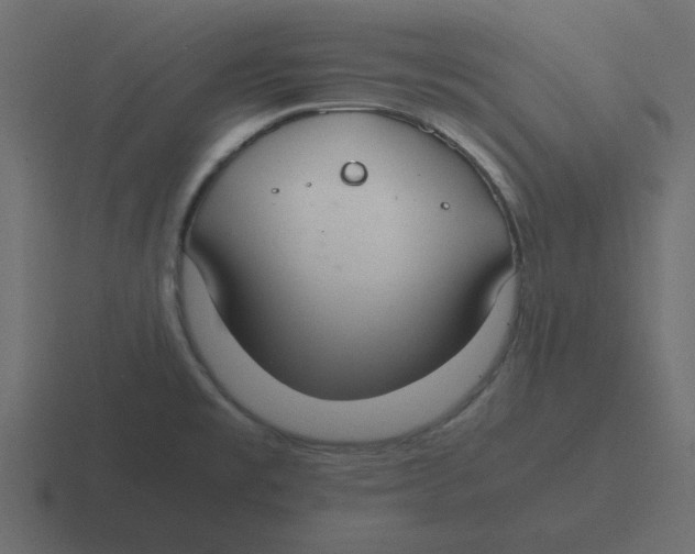 X0000116461477200912291957