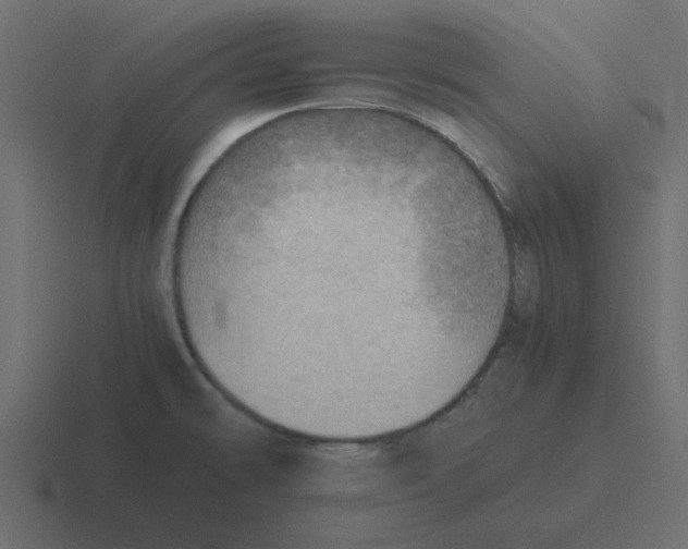 X0000116461478200912291957