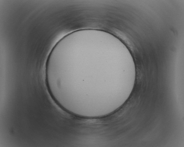 X0000116461479200912291957