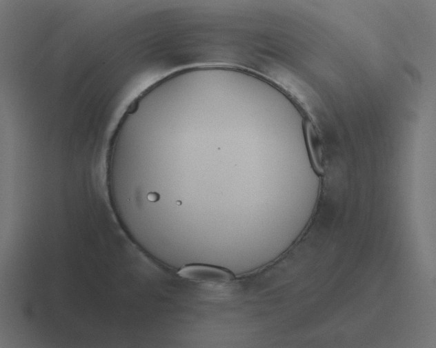 X0000116461480200912291957