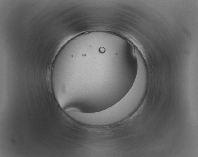 X0000116461481200912291957