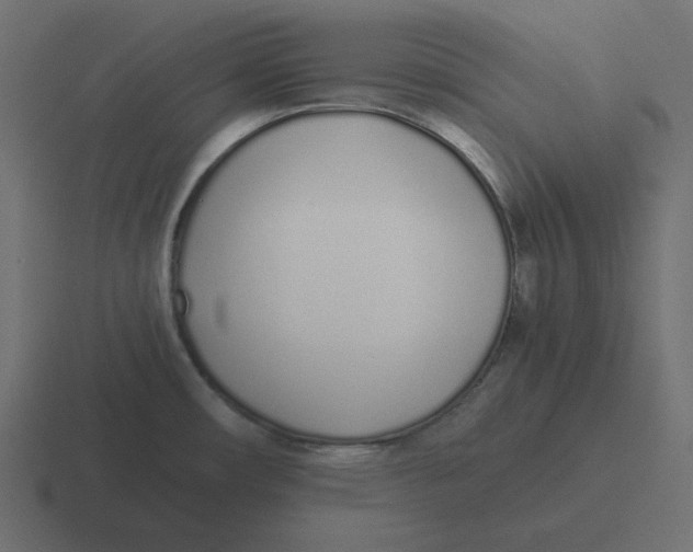 X0000116461482200912291957