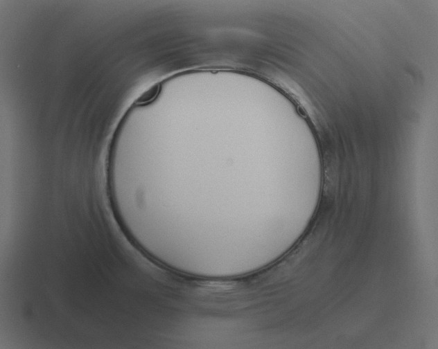 X0000116461483200912291957