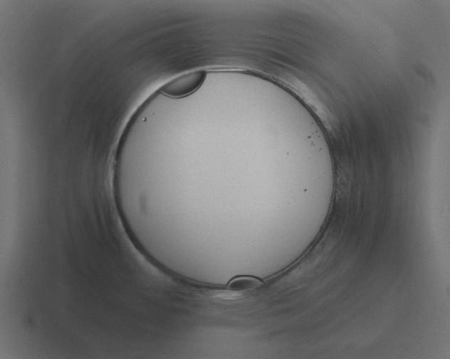 X0000116461484200912291957