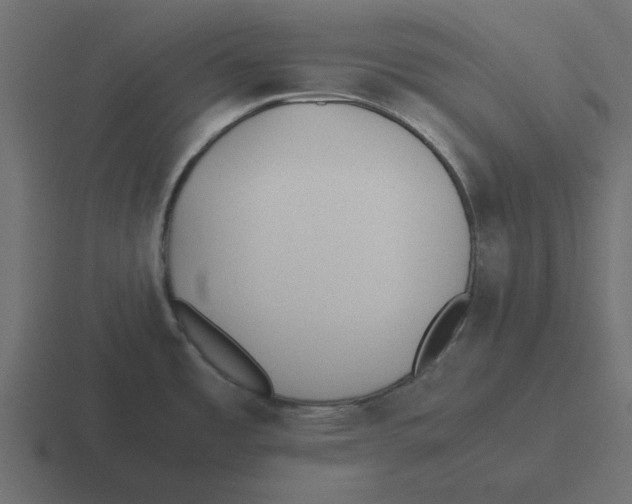 X0000116461485200912291957