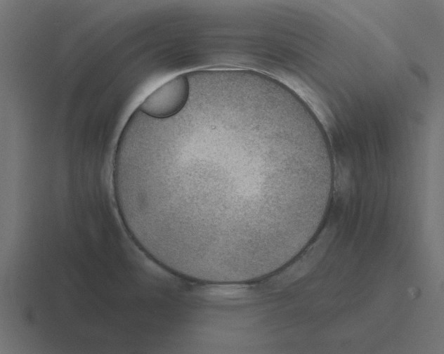 X0000116461486200912291957