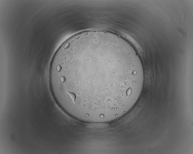 X0000116461487200912291957