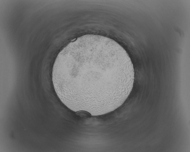 X0000116461489200912291957