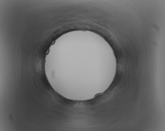 X0000116461490200912291957