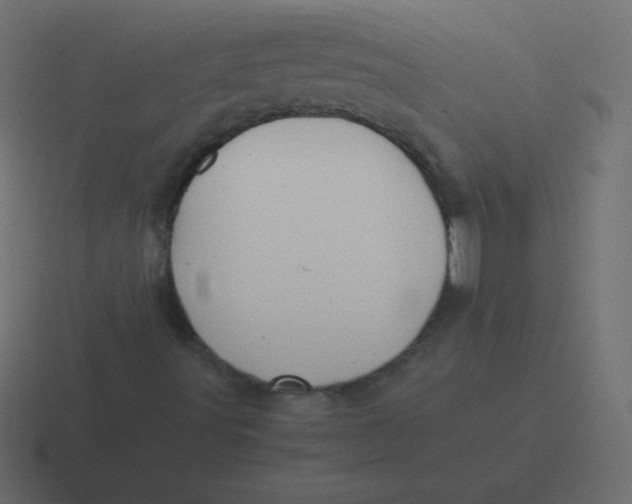 X0000116461491200912291957